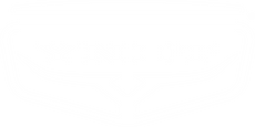 YNOT Lifestyle Brand